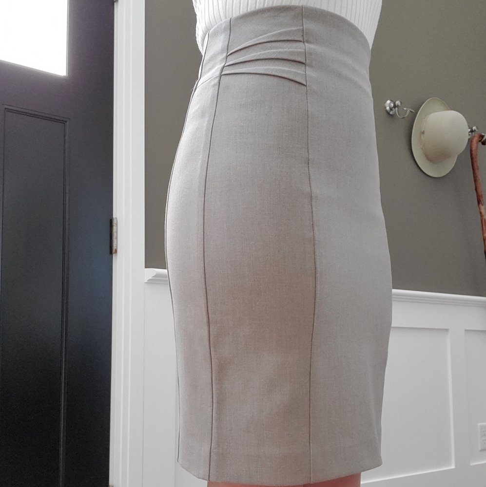 Express Taupe Pencil Skirt Size 00